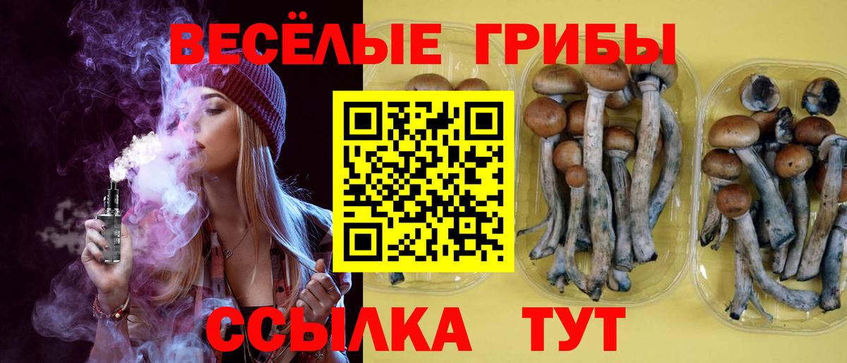Щёкино  Псилоцибиновые грибы Psilocybe  Вход с VPN 